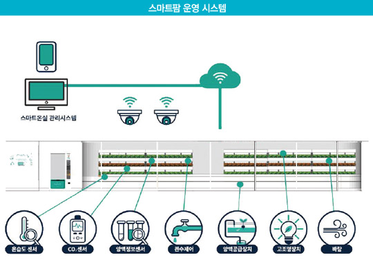 지하철역에 들어선 ‘메트로팜’...식물 공장서 쌈채소 기른다