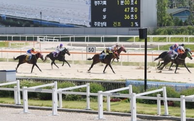 '신의 직장' 마사회 전 직원 휴업…주당 이틀만 출근