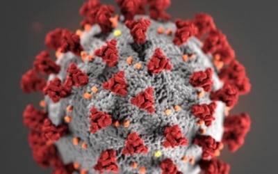 북미 과학자들 "중국·러시아산 백신 맞으면 에이즈에 취약해져" 우려 