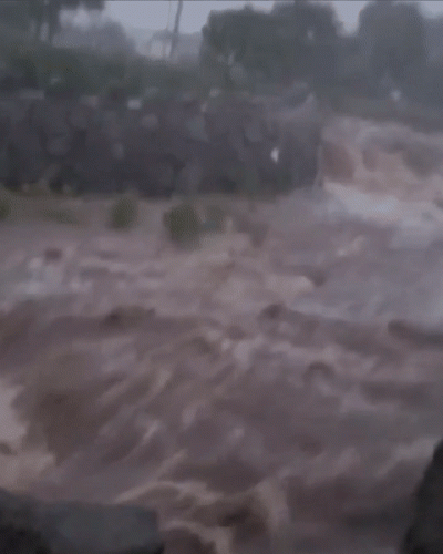 [영상] 제주 덮친 태풍 마이삭...물폭탄에 곳곳 피해속출