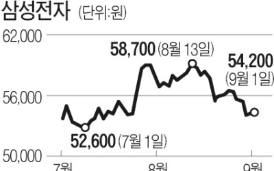 지난달 1.8兆 순매수했는데…개미 기대 저버린 삼성전자