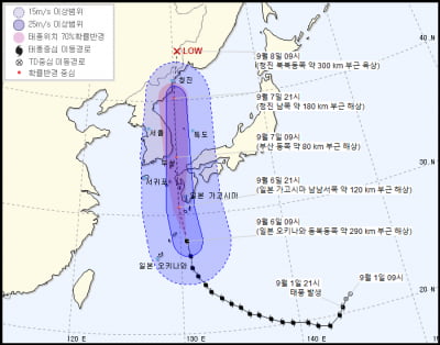 10호 태풍 '하이선' 7일 오전 9시 부산 앞바다 80㎞ 최근접