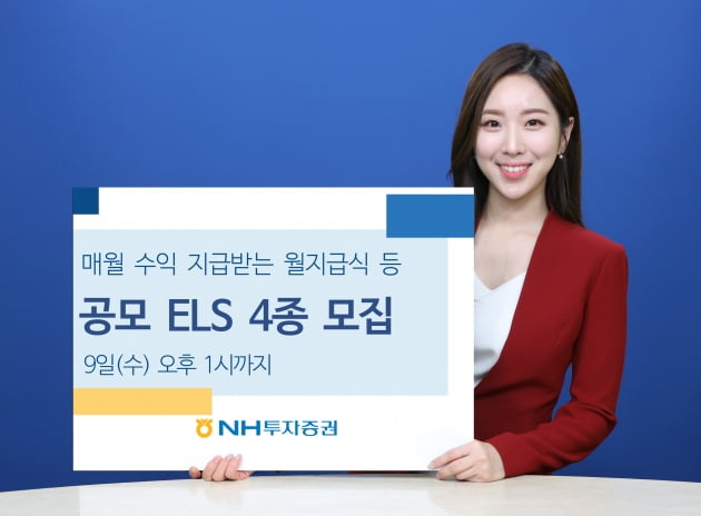 NH투자증권이 공모 ELS 4종을 모집한다. (사진 = NH투자증권)