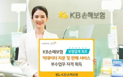 KB손해보험, '빅데이터 자문 및 판매 서비스' 부수업무 자격 획득