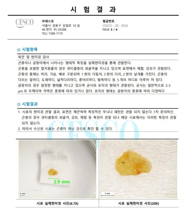 [단독] "통조림서 애벌레 추정 이물질이…" 델몬트 측 늑장 검사 논란