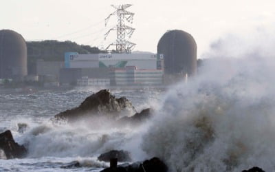 "소금기로 핵연료봉 녹을수도" 언론보도에 발끈한 한수원