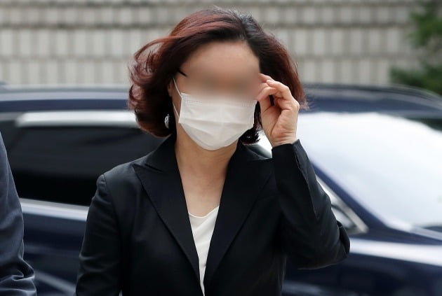 정경심 모자, '허위 인턴확인서 의혹' 재판 증인으로 선다