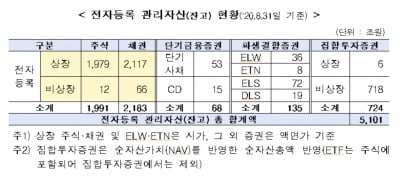 전자증권제도 전면 도입 1주년…"자본시장에 안정적 정착"