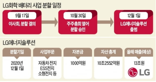 LG화학 주주들 "SK바이오팜 상장한 SK㈜처럼 떨어질 것"
