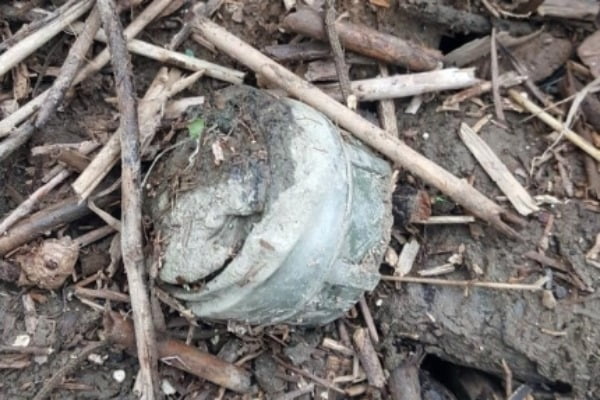 지난 17일 경기 고양시 고양대덕생태공원에서 M14 대인지뢰 1발이 발견됐다/사진제공=한국지뢰제거연구소