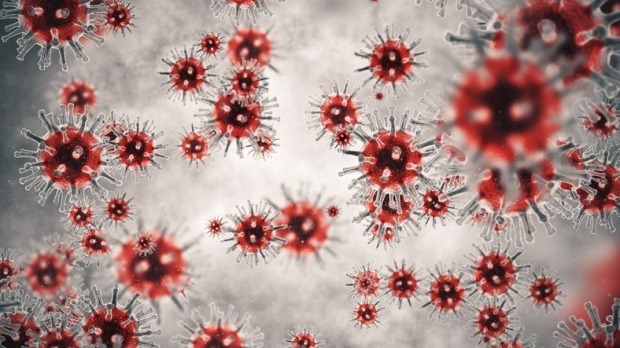 전 세계적으로 신종 코로나바이러스 감염증(코로나19)이 장기화하는 가운데, 냉동 오징어 포장지에서도 코로나바이러스가 검출됐다./사진=게티이미지