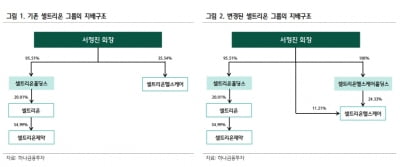 "셀트리온헬스케어홀딩스 설립…3사 합병 난제 해결할 것"