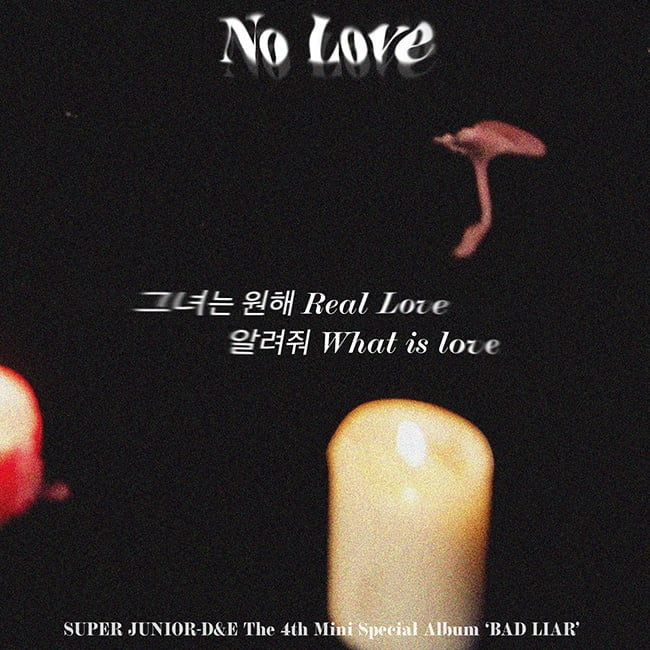 슈퍼주니어-D&E, 스페셜 앨범 타이틀곡은 ‘No Love’…직설적 가사 스포일러 이미지 공개