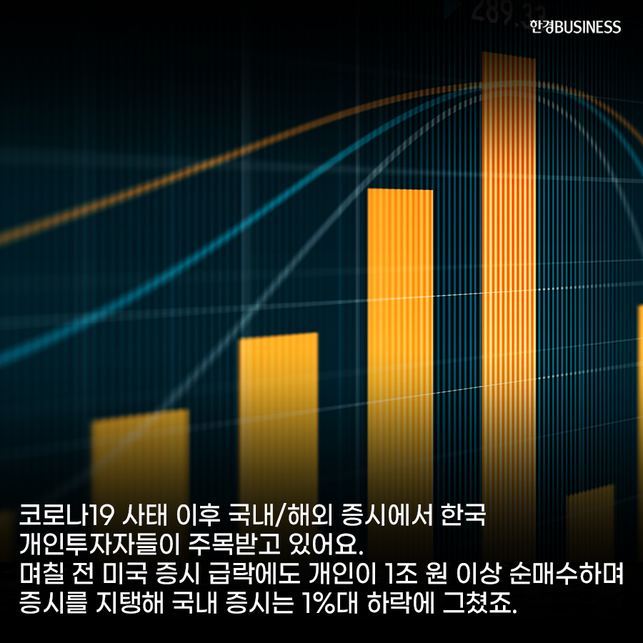 [카드뉴스] 점점 커져가는 개미 존재감, 개미 따라가면 투자 성공?