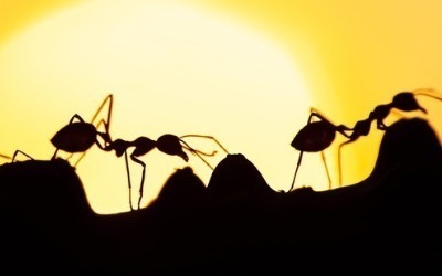 美 2030 개미들, 기술株만큼 '왕년株'도 담은 까닭