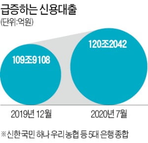 "이렇게 낮은 금리 처음"…은행원도 '영끌'해서 받는 신용대출