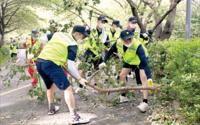 [포토] 태풍 피해 복구 나선 해군