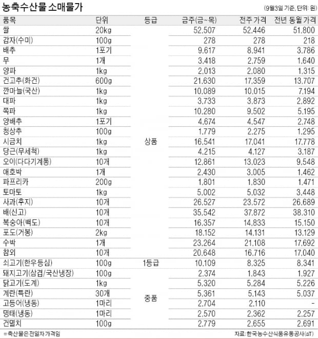 '국민생선' 고등어, 태풍에 1주새 28% 상승…냉동 1마리 2704원