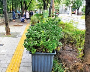 코로나가 바꾼 저녁풍경…포장마차 대신 화분, 골목마다 '길맥'