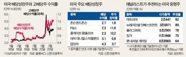 "존슨앤드존슨·P&G…배당성장주 랠리 온다"