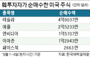 애플·테슬라 조정받자…한국 개미들 나흘간 1조 샀다