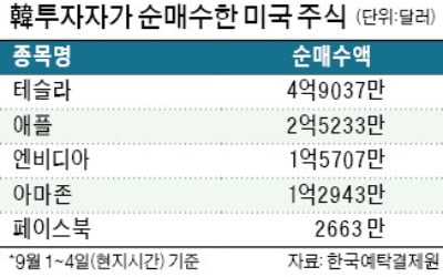 애플·테슬라 조정받자…한국 개미들 나흘간 1조 샀다