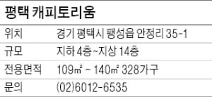 평택 캐피토리움, 미군 렌털하우스…안정적 월세 수입