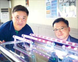 이효성 코리아신예 대표(왼쪽)와 이창원 썬웨이브 대표가 LED 살균기를 설명하고 있다. 