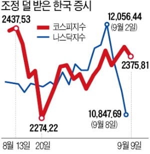 '개미의 힘'으로 버틴 국내 증시…유동성에 호재성 재료도 '한몫'