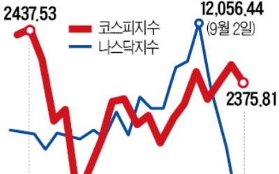 '개미의 힘'으로 버틴 국내 증시…유동성에 호재성 재료도 '한몫'