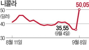 니콜라 40% 급등…활짝 웃는 한화솔루션