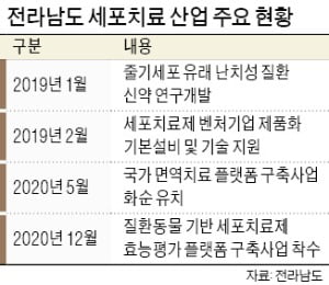 전남도, 年 13조 세포치료제 시장 선점 돕는다