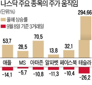 한국 개미 '테슬라 쇼크'…이달 들어 1.3조 날렸다