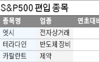 테슬라 제치고 S&P500 지수에 편입된 종목은?