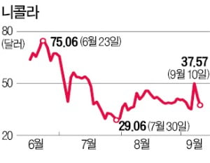 "정교한 사기극" 보고서에…니콜라 11% 급락