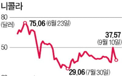 "정교한 사기극" 보고서에…니콜라 11% 급락