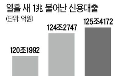 신용대출 열흘 새 1.1兆 폭증…금융당국 '핀셋 규제' 나선다