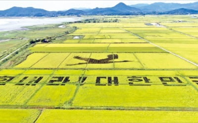 [포토] 흑두루미의 기운 담아…“대한민국 힘내라”