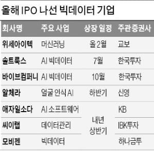 "디지털뉴딜, 물 들어올 때 노 젓자"…빅데이터 기업들 줄줄이 IPO 도전