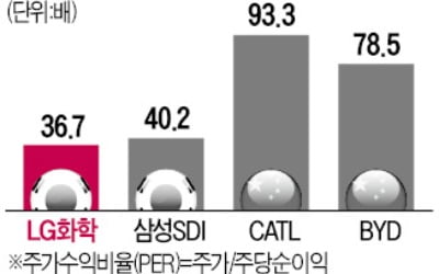 배터리사업 재평가 기대되지만…LG화학 소액주주들은 '당혹'