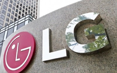 LG "30조 배터리社 키운다"…압도적 1위 굳히기 '짜릿한 도전'