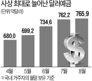 달러 계속 모으는 기업들…8월 달러예금 또 '사상 최대'