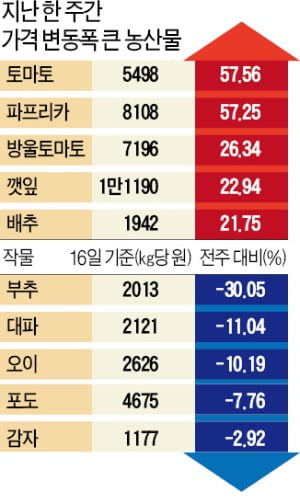 KAPI 지수 공개후 반응 폭발…"시세 예측도 가능한 혁신 서비스"