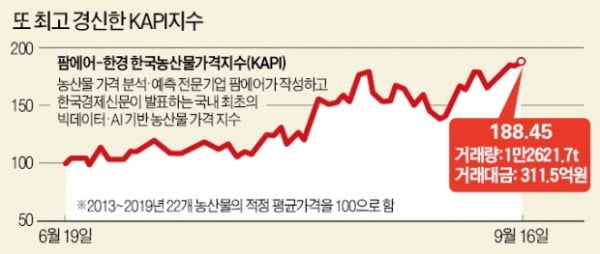 추석 앞두고…사과 등 16개 품목 최대 58%↑