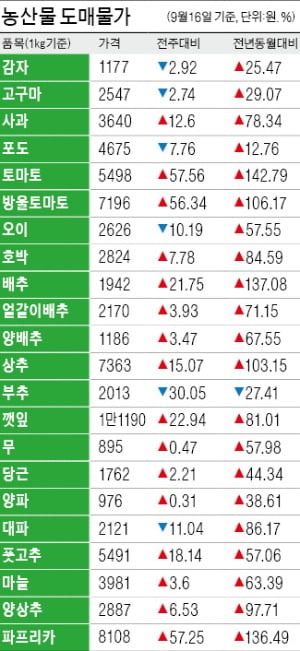 추석 앞두고…사과 등 16개 품목 최대 58%↑