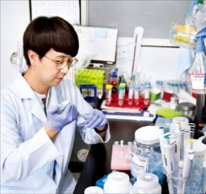 한국생명공학연구원 연구진이 유전자 교정 실험을 하고 있다.  생명연 제공 