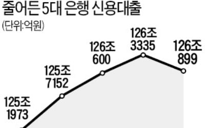 금융당국 구두경고에…줄어든 신용대출