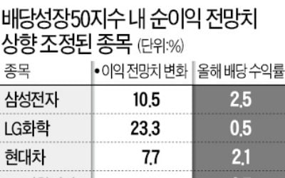 조정場서 '기댈 언덕'은 배당성장株