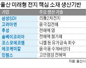 울산시 '미래형 전지' 개발 본궤도