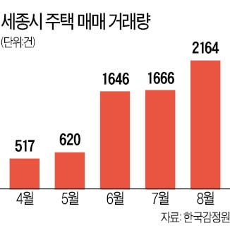 '천도론' 세종시 8월 거래량 2012년 이후 최대